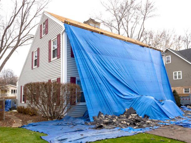 Best Attic Cleanout  in USA